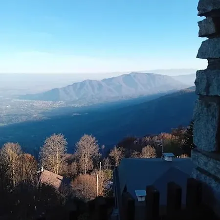 Panoramic Eagle *