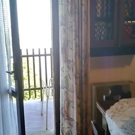 Panoramic Eagle